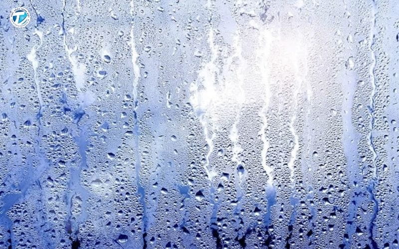 Đặc thù khí hậu nồm ẩm ảnh hưởng trực tiếp đến tuổi thọ vật liệu